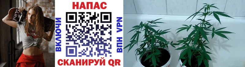 Наркошоп купить АМФЕТАМИН  Кокаин  Мефедрон  Гашиш  Нязепетровск