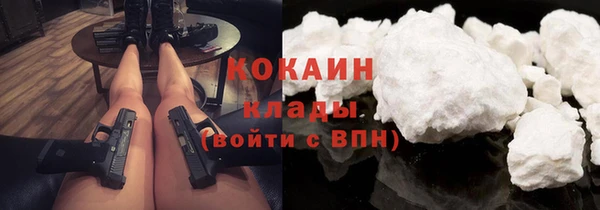 a pvp Бородино