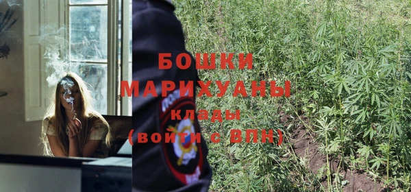 a pvp Бородино