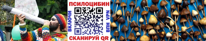 Псилоцибиновые грибы мицелий  Купить где  Нязепетровск 
