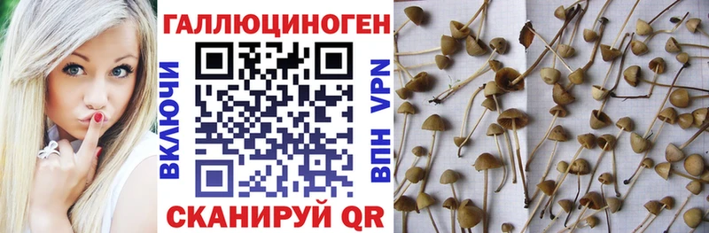 Псилоцибиновые грибы мухоморы Нязепетровск